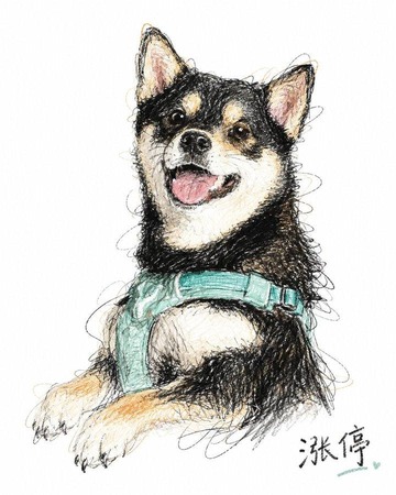 Messy crayon pet portrait style sample
